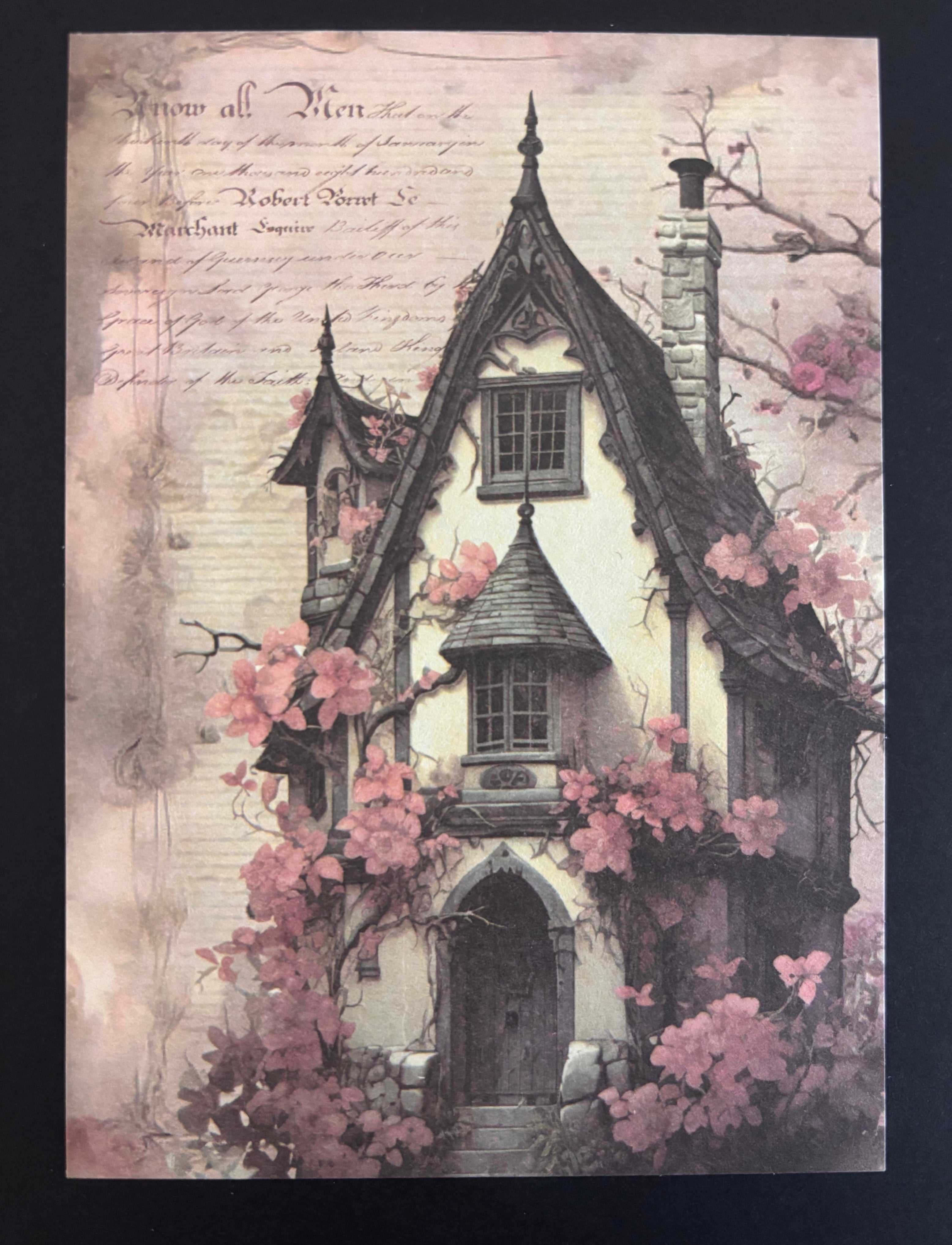 Gothic Vintage Cards – Gothic Witch Greeting Card