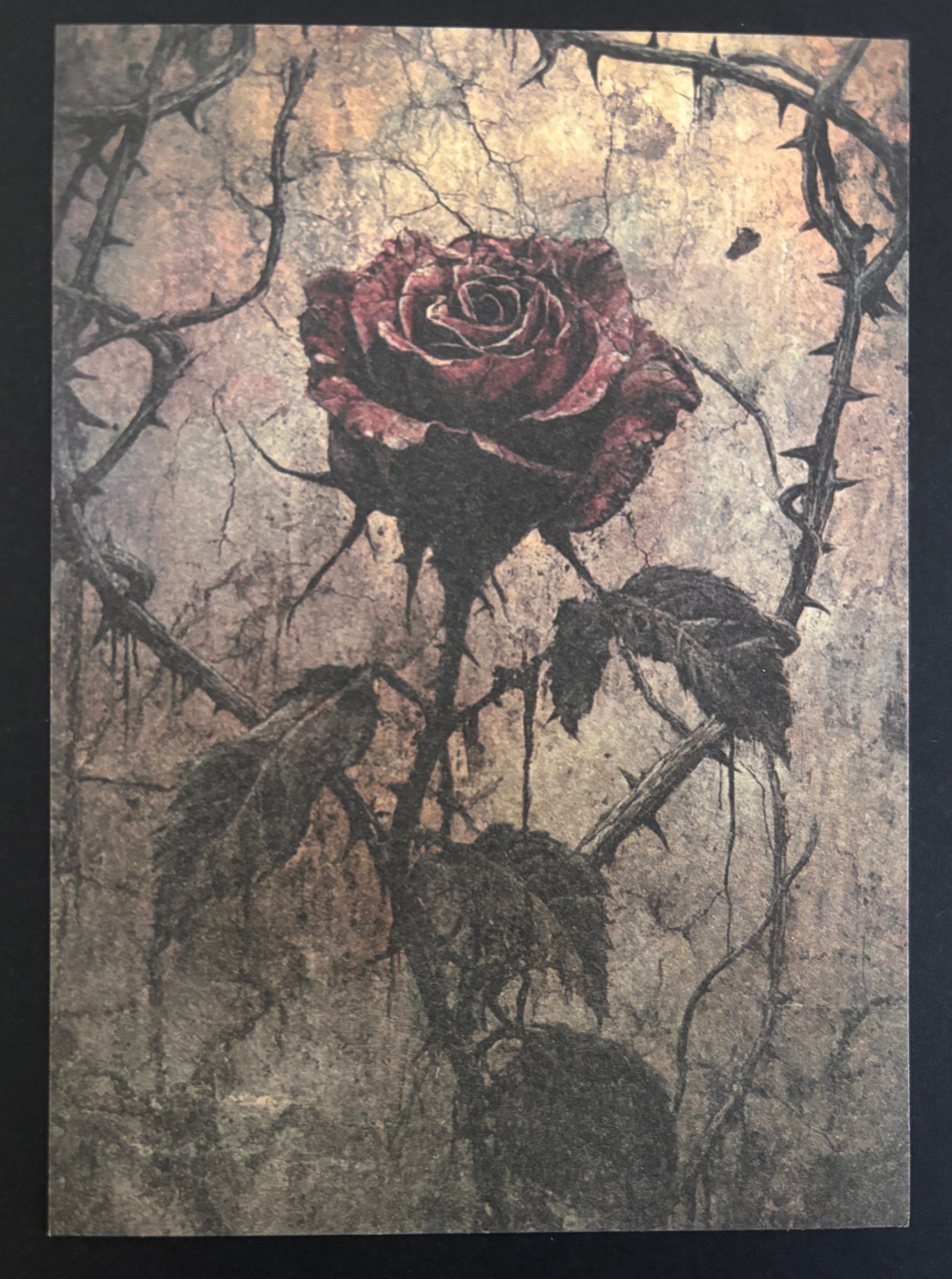 Gothic Vintage Cards – Gothic Rose Greeting Card