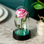Rose Glass Cover Rose in Glass Dome