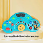 Montessori Toy aged 3 years +