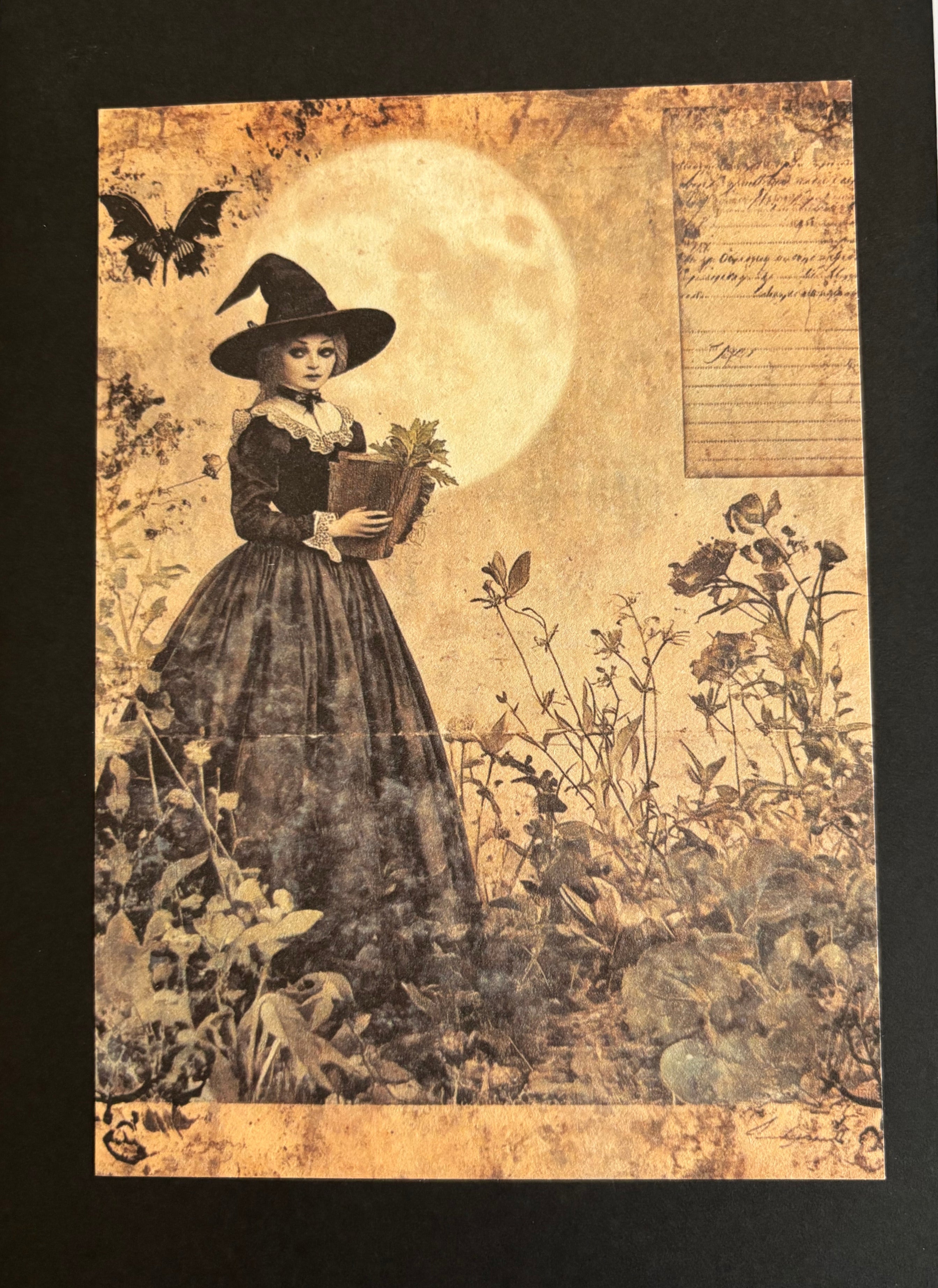 Vintage Witch Card