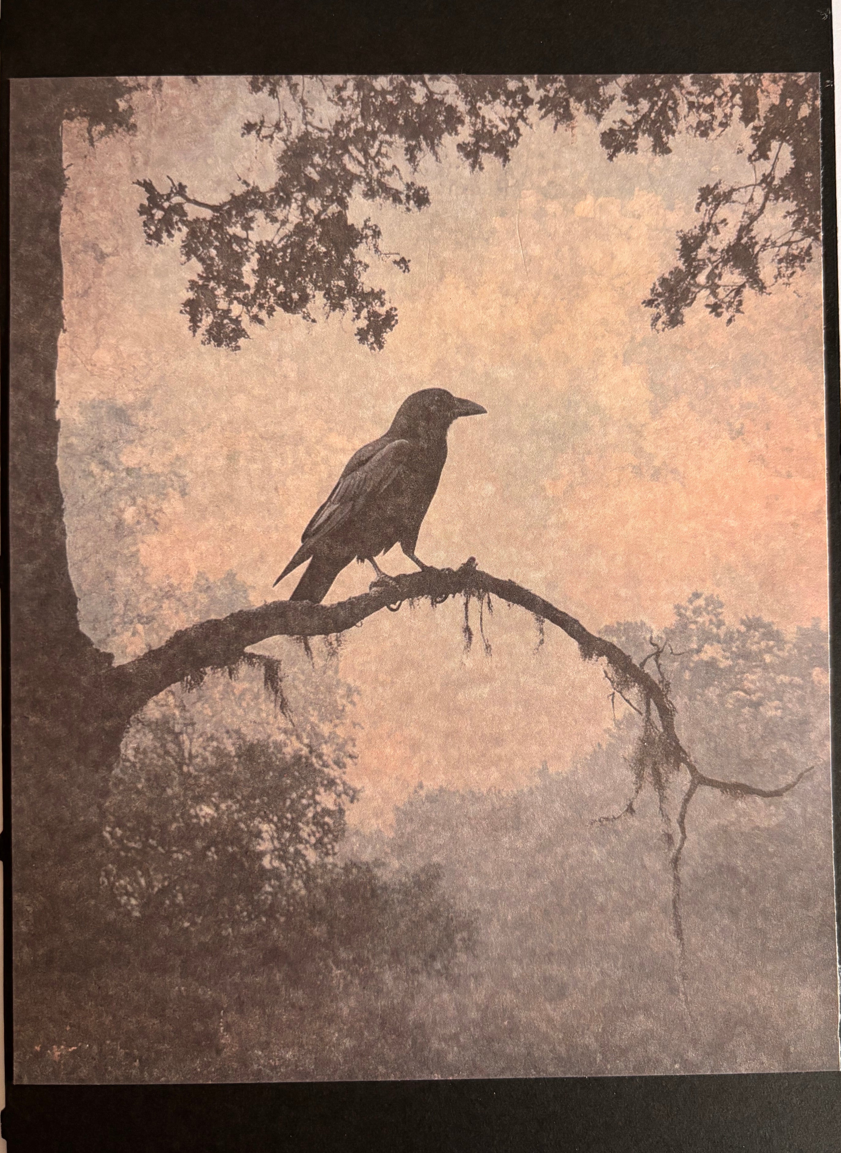 Gothic Vintage Cards – Dark Elegance for Every Occasion